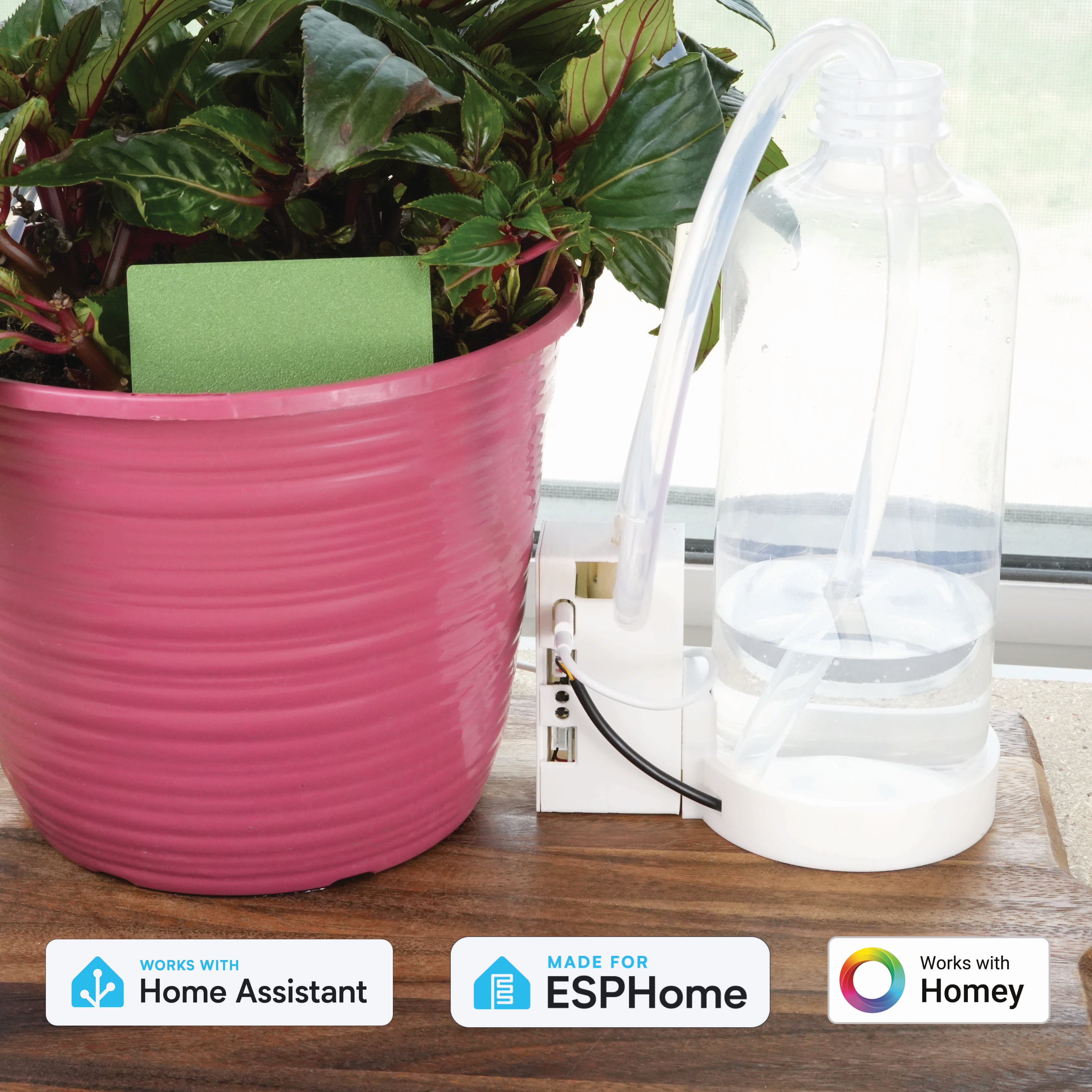 o planten DIY Terrarium Kit - Create your own mini Ecosystem main image 0