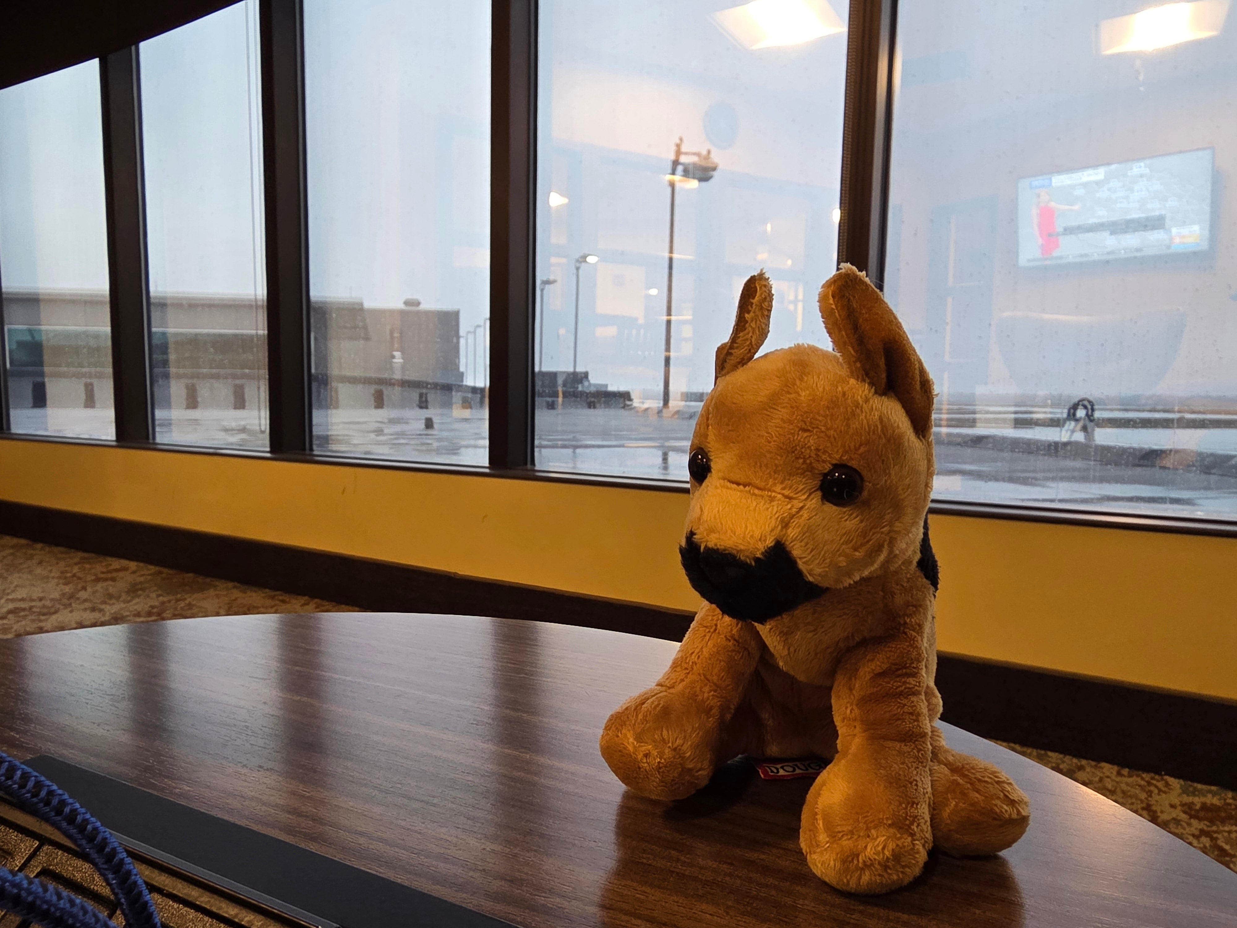 Apollo Automation Is Coming to WhaleLAN Winter 2026 in Surrey, BC (With Free Swag!)