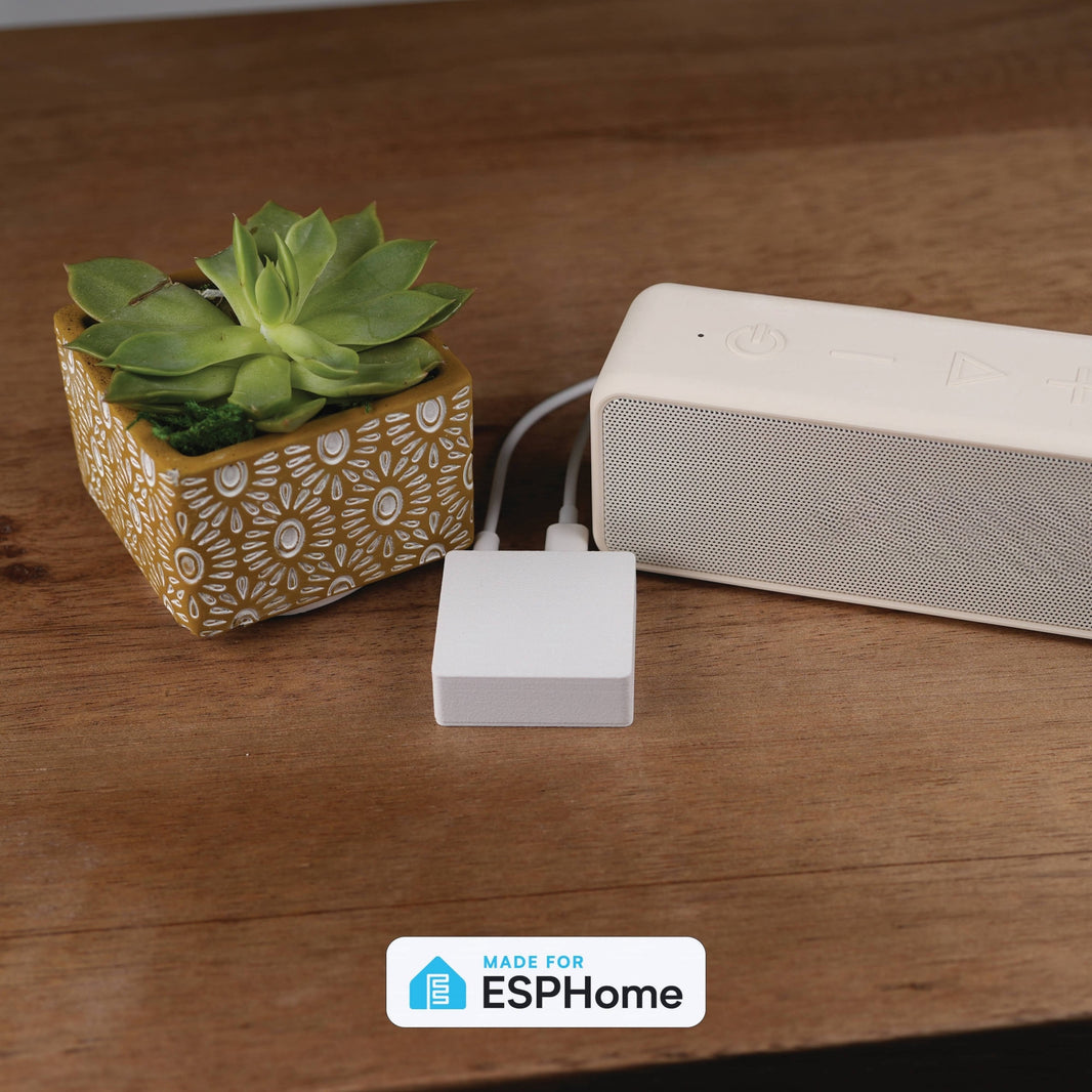 CAST-1 Audio Casting: ESPHome Network Audio Player