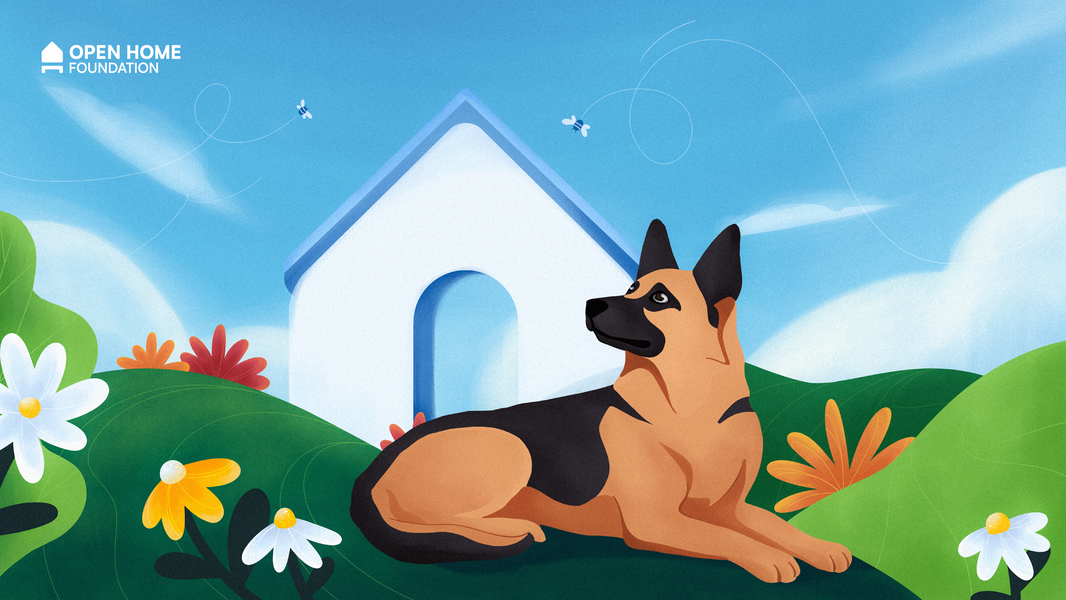 Apollo Automation Becomes Open Home Foundation's Second Commercial Partner!