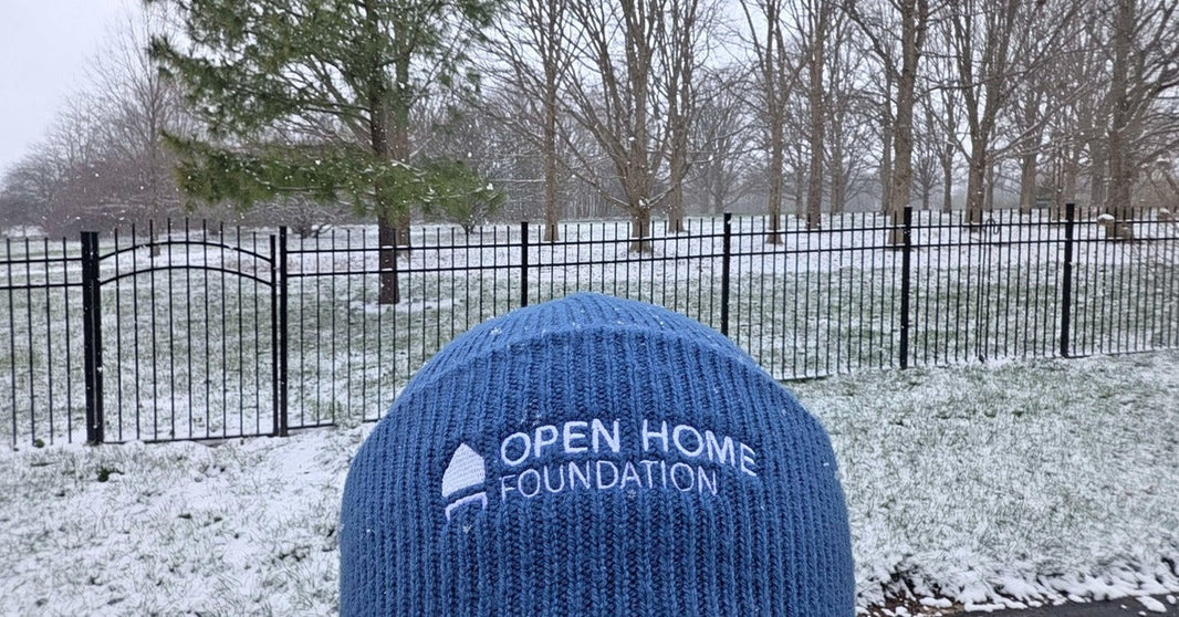 Support the Open-Source Smart Home: Shop the Official Open Home Foundation Merch Store