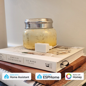 MSR-2 mmWave Multisensor (LD2410B)