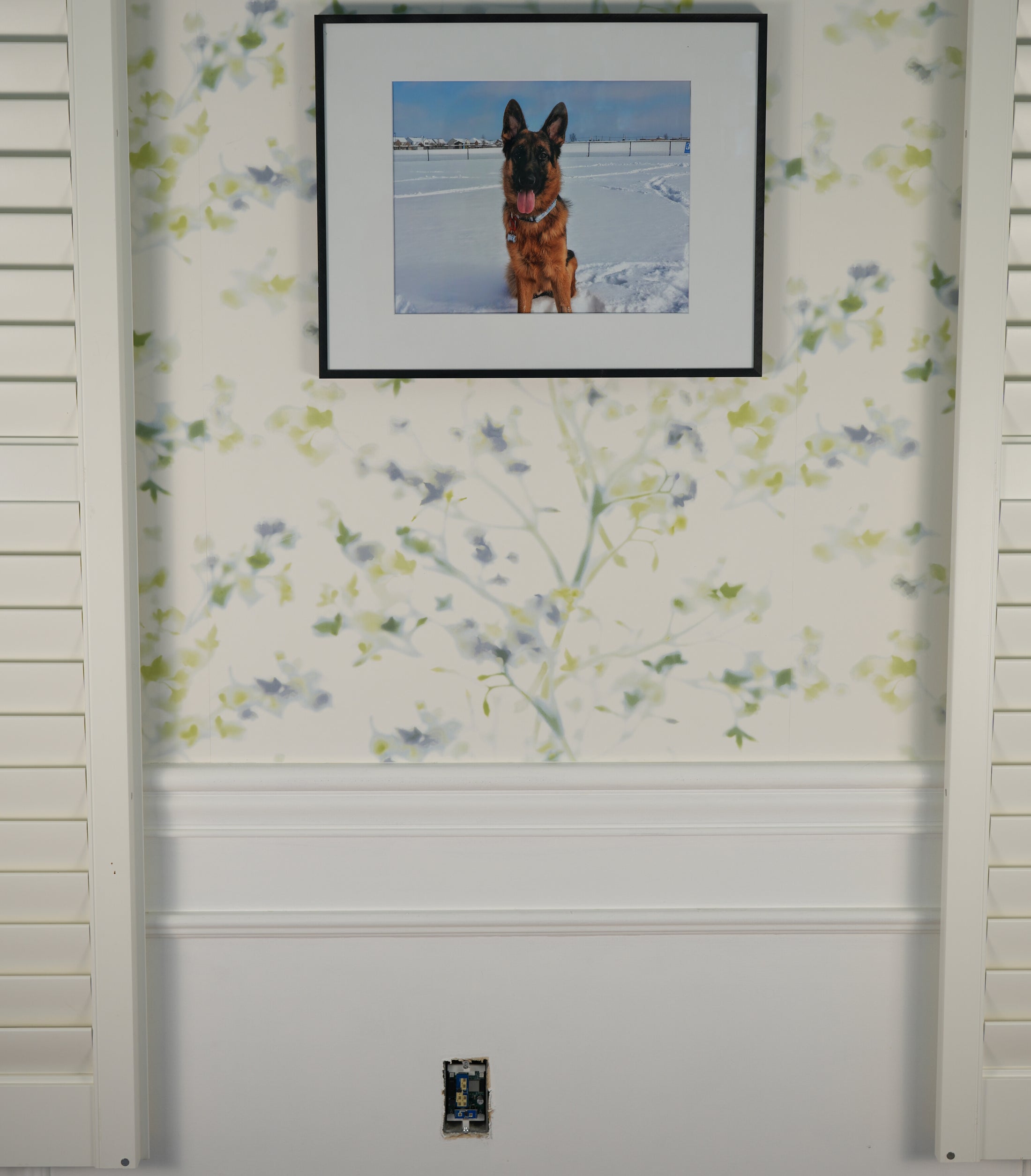 R PRO-1 PoE mmWave Multisensor (LD2450 and Optional LD2412) – Apollo ...