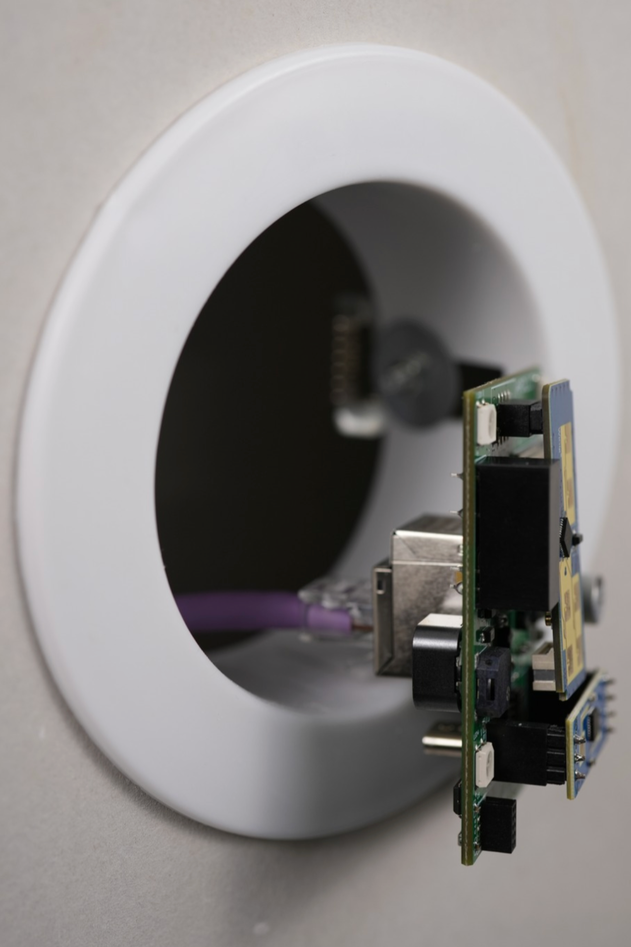 R Pro-1 PoE mmWave Multisensor (LD2450 and Optional LD2412)