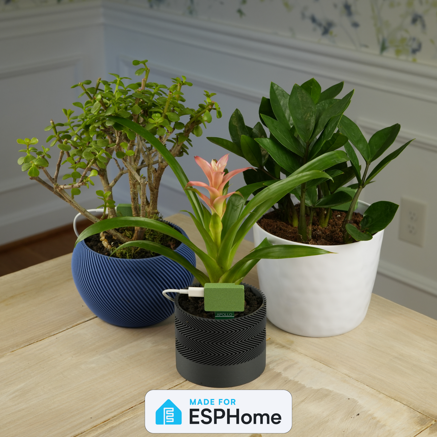 PLT-1 Ultimate Plant Sensor For Home Assistant